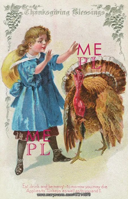  : Girl and Turkey