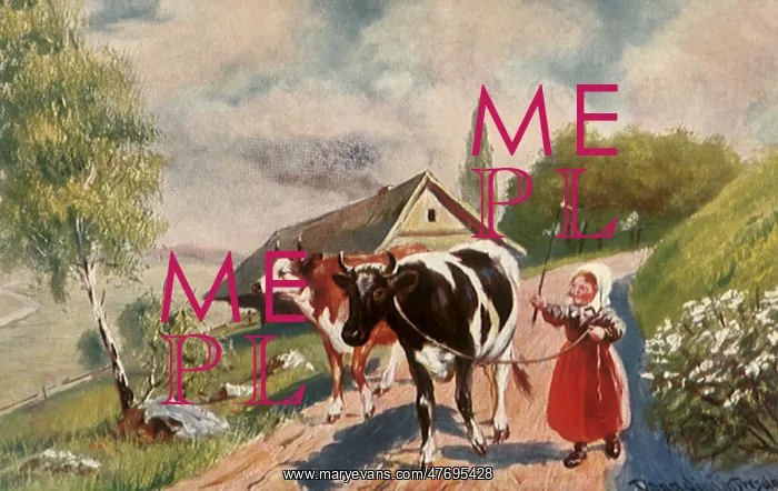  : Girl Walking Cows