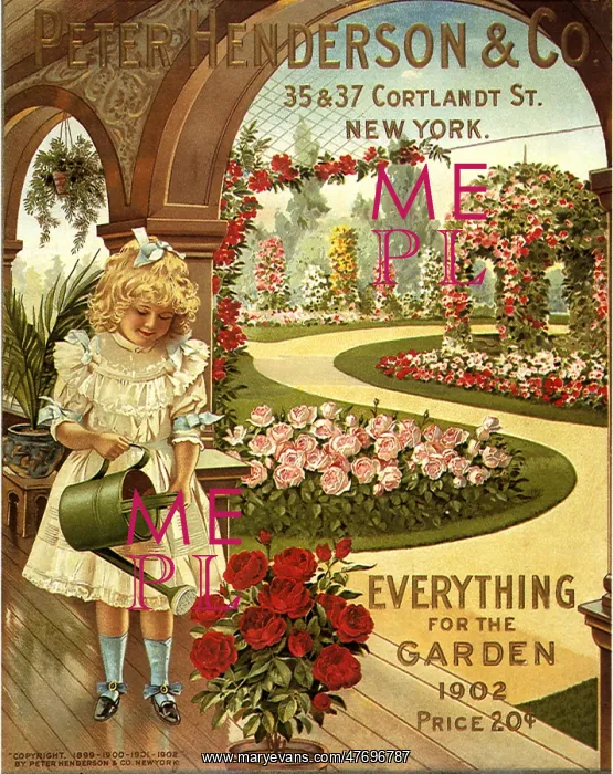  : Girl Watering Plant