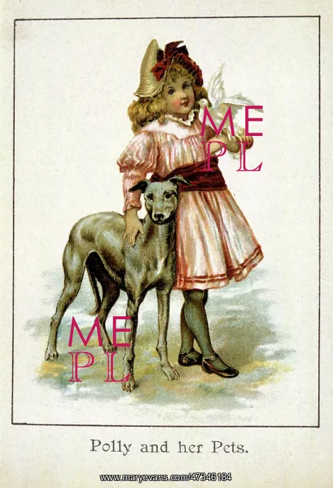 : GIRL AND WHIPPET : GIRL AND WHIPPET
