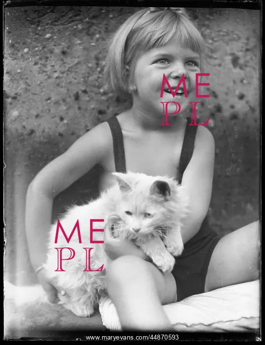 : GIRL AND WHITE CAT : GIRL AND WHITE CAT