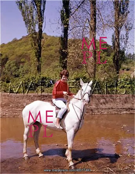 : GIRL ON WHITE HORSE : GIRL ON WHITE HORSE