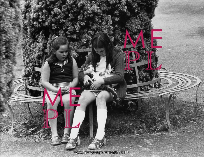: Two girls and a cat on a tree seat : Two girls and a cat on a tree seat