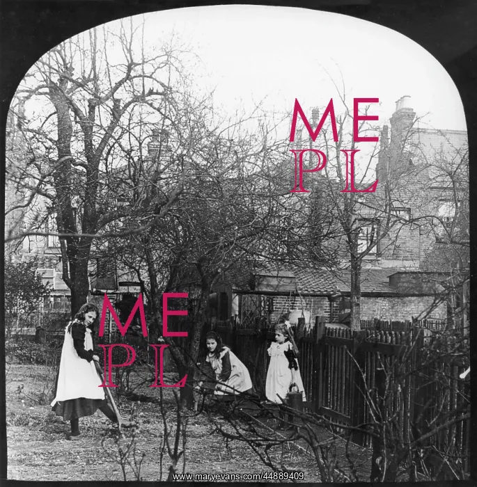 : Three girls digging in the garden : Three girls digging in the garden
