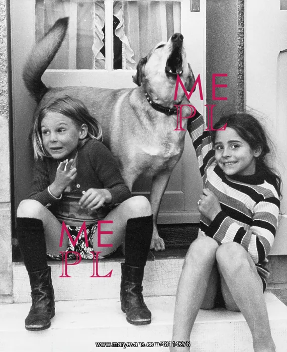 : Two girls and a dog on a doorstep : Two girls and a dog on a doorstep