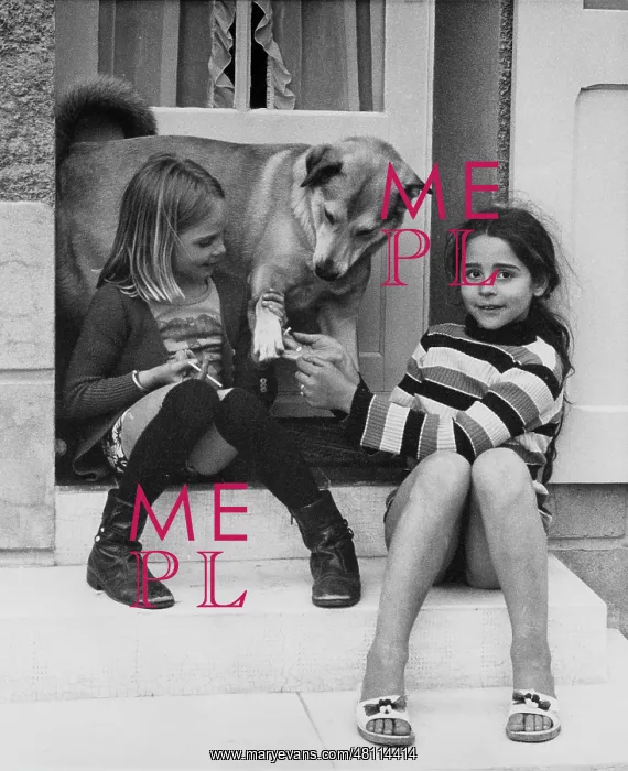 : Two girls and a dog on a doorstep : Two girls and a dog on a doorstep