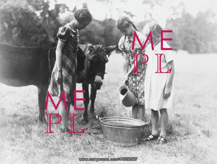 : THREE GIRLS WITH DONKEYS : THREE GIRLS WITH DONKEYS