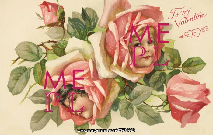  : Girl's Faces in Roses