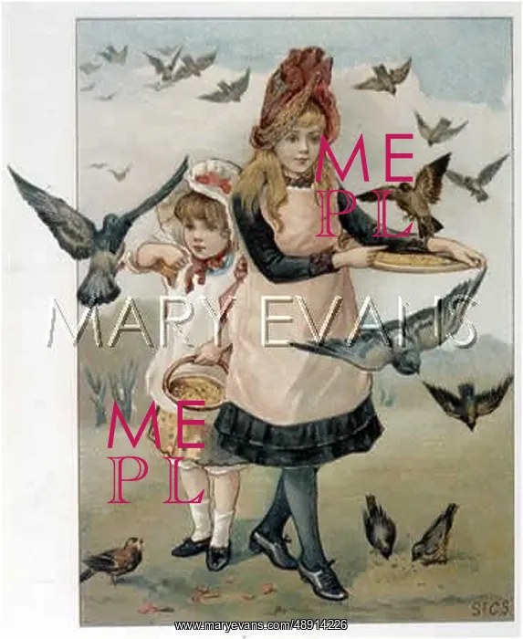 : GIRLS FEEDING BIRDS : GIRLS FEEDING BIRDS