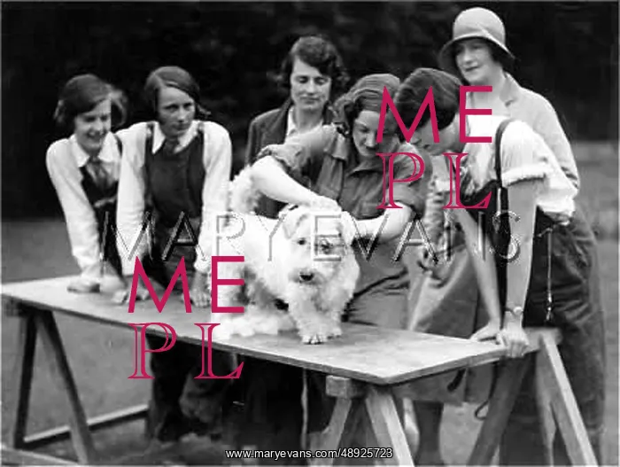 : GIRLS GROOMING DOG : GIRLS GROOMING DOG
