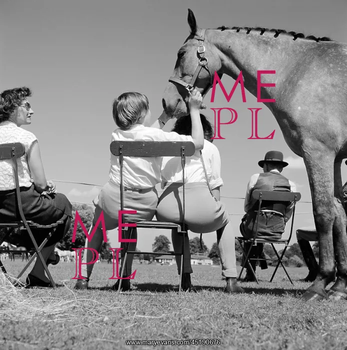 : Girls and horse : Girls and horse