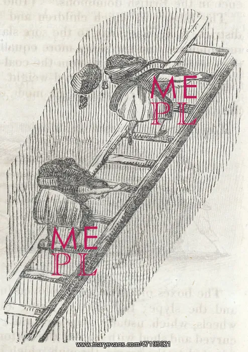 : GIRLS ON LADDERS : GIRLS ON LADDERS