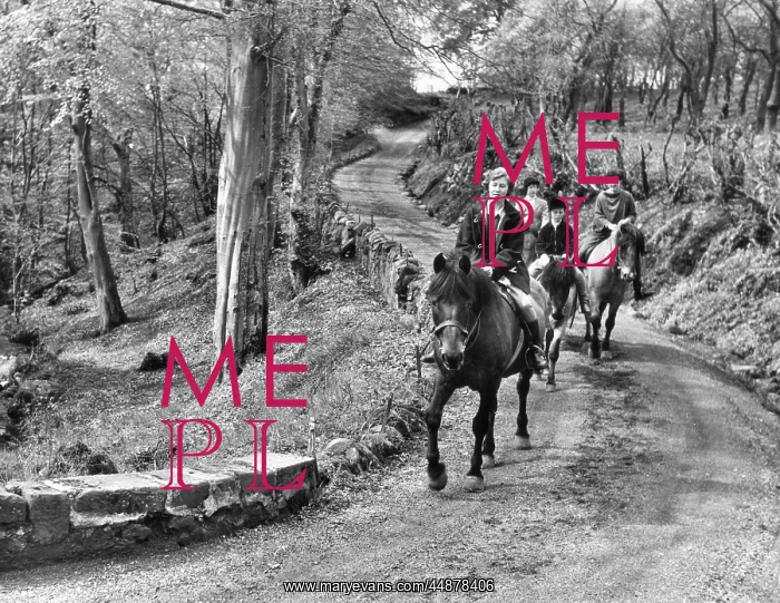 : GIRLS RIDING HORSES : GIRLS RIDING HORSES