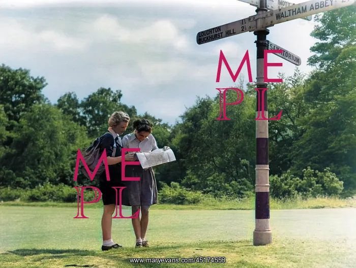 : TWO GIRLS & SIGNPOST : TWO GIRLS & SIGNPOST