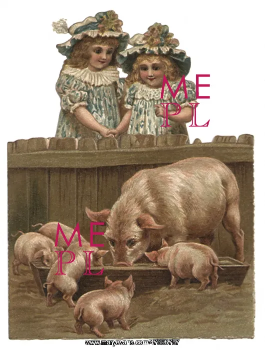 : Girls Watch Pigs : Girls Watch Pigs