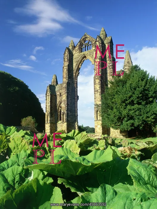 : Gisborough Priory : Gisborough Priory