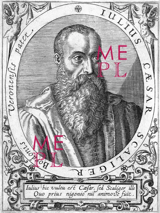 : GIULIO CESARE SCALIGER : GIULIO CESARE SCALIGER