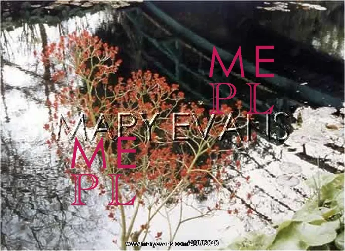  : GIVERNY GARDEN - 5