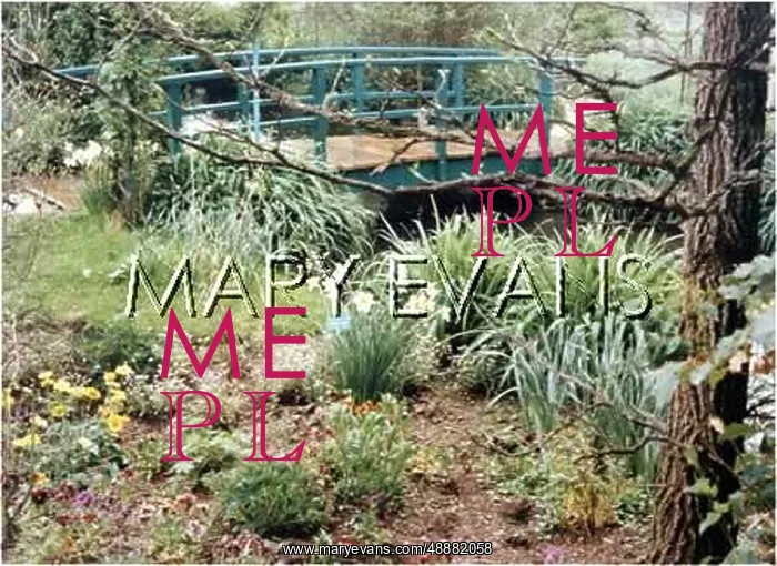  : GIVERNY GARDEN - 8
