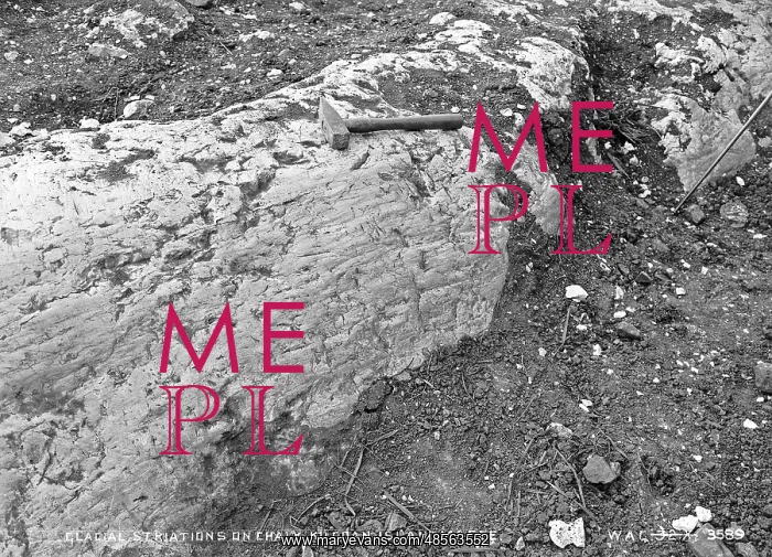 : Glacial Striations on Chalk, Kilcoan, Islandmagee : Glacial Striations on Chalk, Kilcoan, Islandmagee