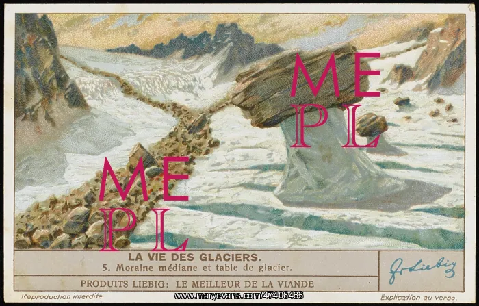 : GLACIERS (LIEBIG) 5 : GLACIERS (LIEBIG) 5
