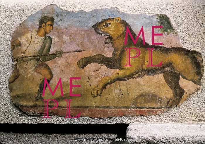 : Gladiator fighting against a beast : Gladiator fighting against a beast