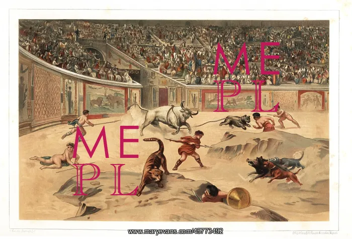 : Gladiators fighting wild animals in Pompeii ampitheatre : Gladiators fighting wild animals in Pompeii ampitheatre
