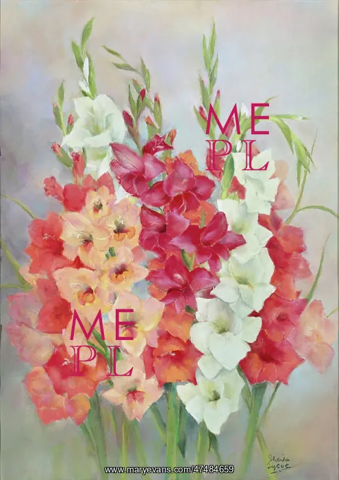  : Gladioli - red, pink and white flowers