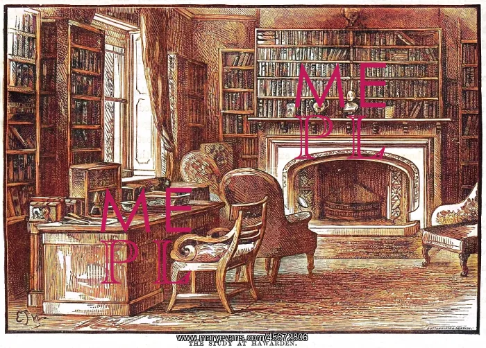 : GLADSTONE / HAWARDEN STUDY : GLADSTONE / HAWARDEN STUDY