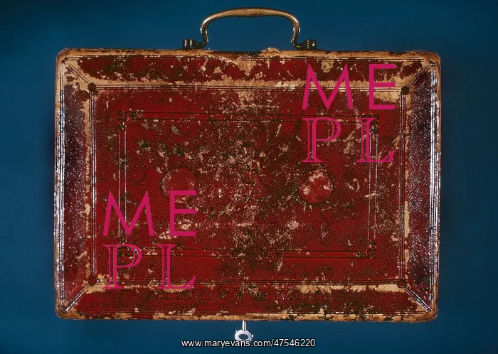  : Gladstone's budget box