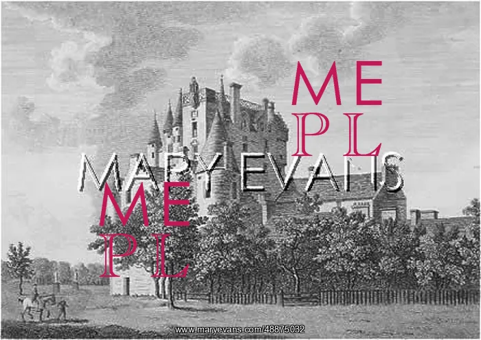 : GLAMIS CASTLE / SPARROW : GLAMIS CASTLE / SPARROW