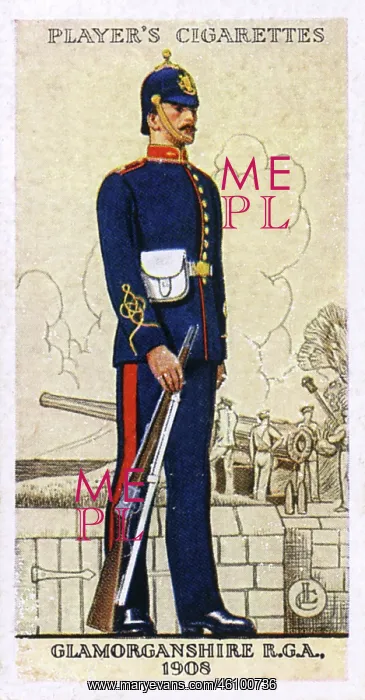 : Glamorganshire Royal Garrison Artillery : Glamorganshire Royal Garrison Artillery