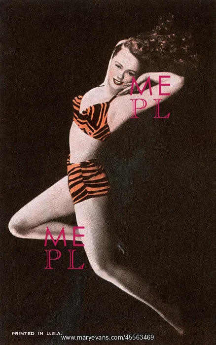 : Glamorous American model in tiger-print bikini : Glamorous American model in tiger-print bikini