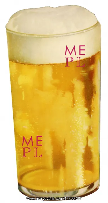 : Glass of Beer : Glass of Beer