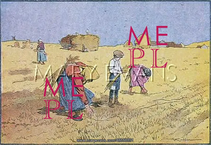 : GLEANING FRANCE : GLEANING FRANCE