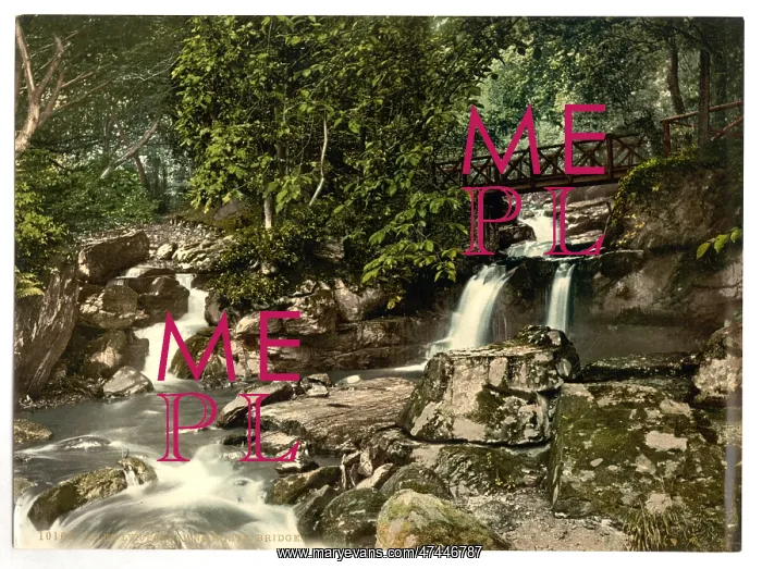 : Glen Lyn. falls and upper bridge, Lynton and Lynmouth, Engl : Glen Lyn. falls and upper bridge, Lynton and Lynmouth, Engl