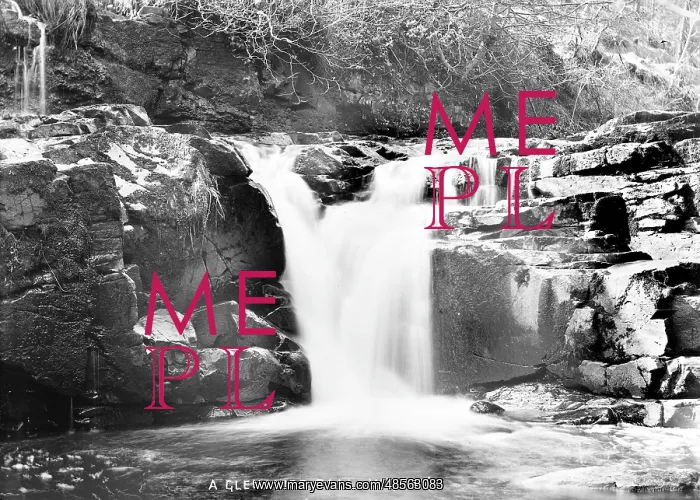 : A Glenariff Fall, W.G. 1516 : A Glenariff Fall, W.G. 1516