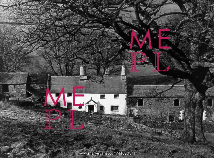 : GLENCOYNE FARM : GLENCOYNE FARM
