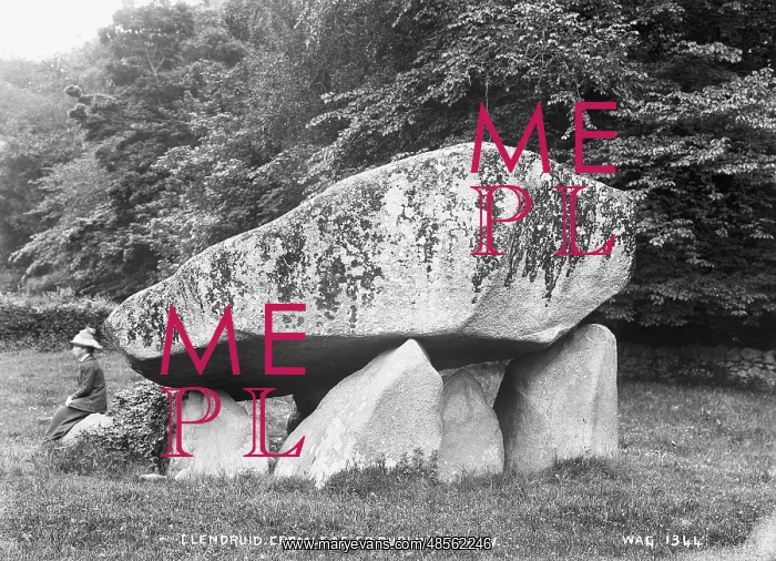 : Glendruid Cromlech, Co. Dublin, from W : Glendruid Cromlech, Co. Dublin, from W