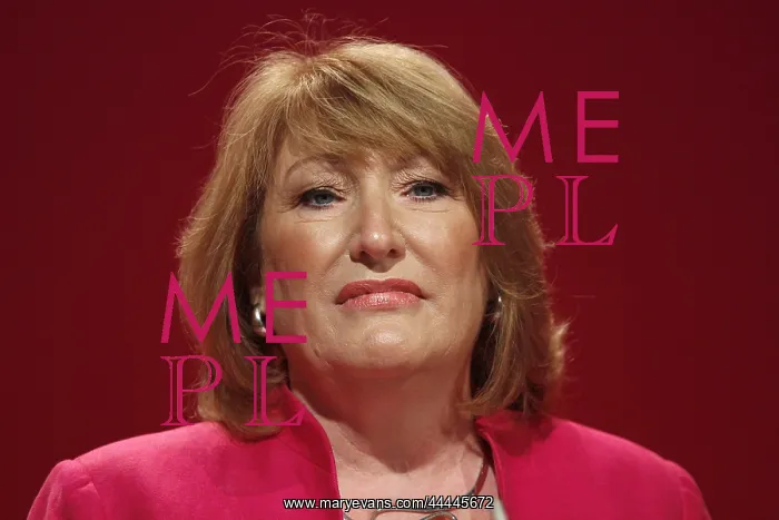 : Glenis Willmott Mep : Glenis Willmott Mep