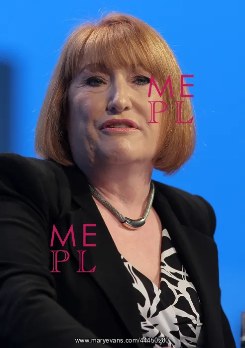 : Glenis Willmott Mep : Glenis Willmott Mep