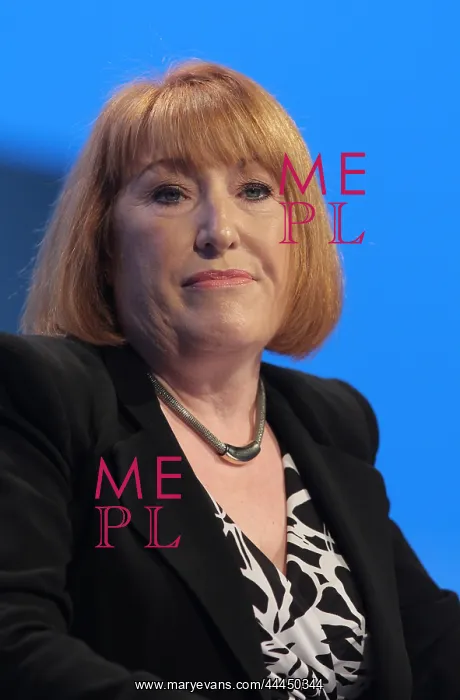: Glenis Willmott Mep : Glenis Willmott Mep