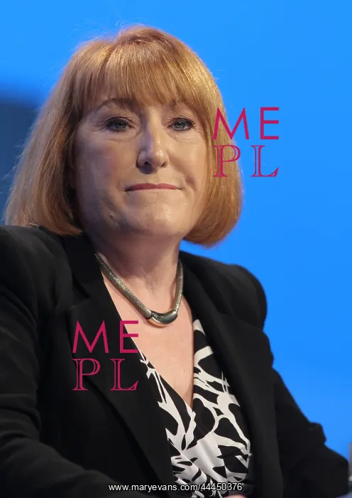 : Glenis Willmott Mep : Glenis Willmott Mep