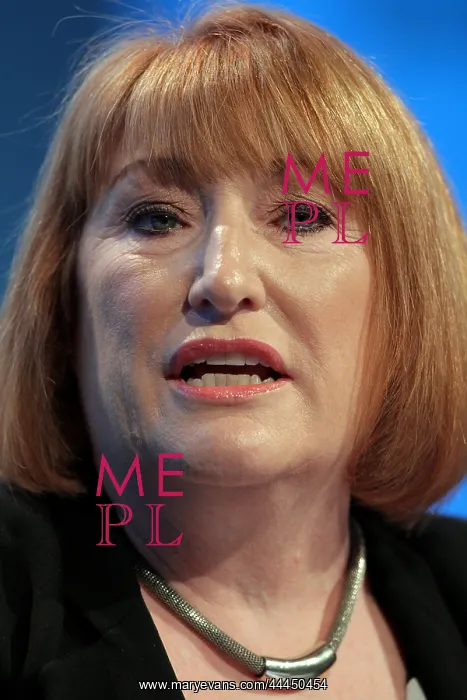 : Glenis Willmott Mep : Glenis Willmott Mep
