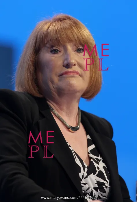  : Glenis Willmott Mep
