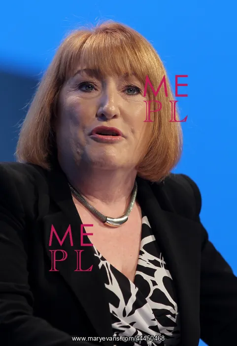  : Glenis Willmott Mep