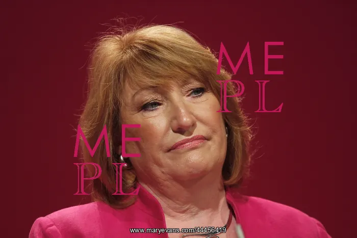 : Glenis Willmott Mep : Glenis Willmott Mep