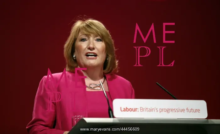 : Glenis Willmott Mep : Glenis Willmott Mep