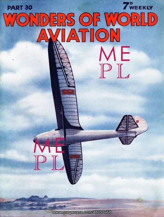 : Glider Aircraft at National Gliding Contests, Dunstable : Glider Aircraft at National Gliding Contests, Dunstable
