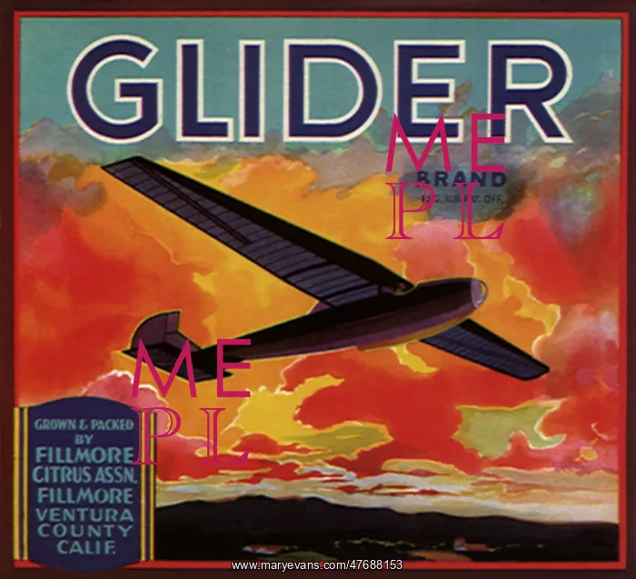  : Glider at Sunset